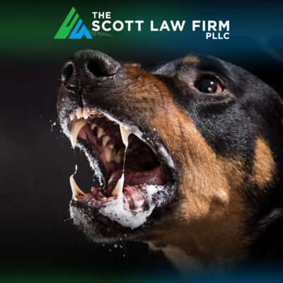 Close-up of an aggressive dog baring its teeth, representing dog bite injuries and infection risk