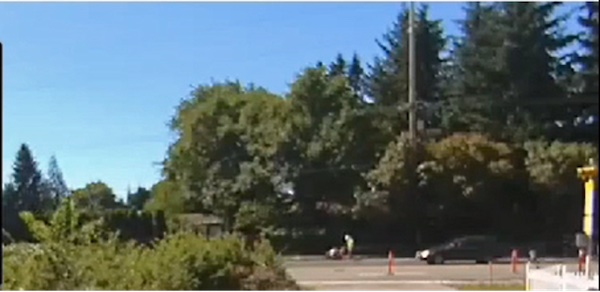 Street intersection with trees, traffic cones, and cars near a wooded roadside area.